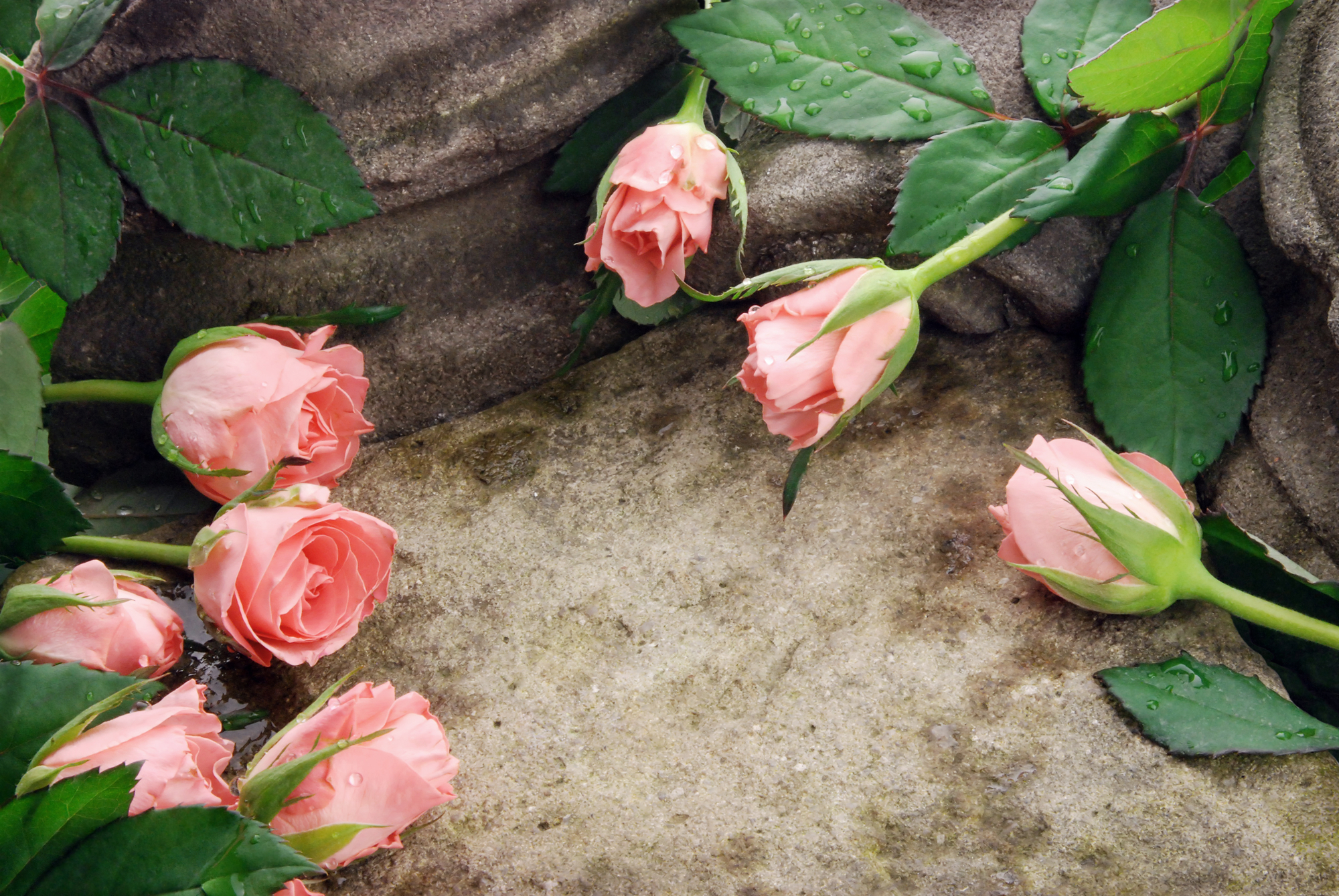 Flowers at a memorial of a loved one